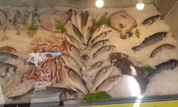 İzmir’de su ürünleri denetimlerinde ceza yağdı