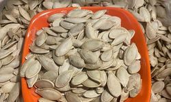 Kabak çekirdeğine "Salmonella", zencefile "Bacillus cereus" nasıl bulaşıyor