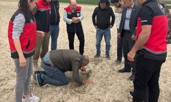 Kulu’da tarım alanlarında kontroller devam ediyor