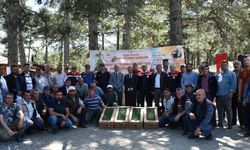 Kuyucak’ta 220 bin domates fidesi dağıtıldı