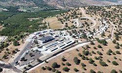 Manisa’da sokak hayvanları için örnek proje hayata geçti