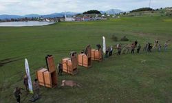 Ordu’da doğaya 13 kızıl geyik salınacak