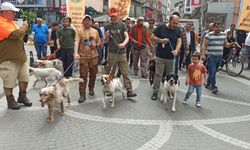 Profesyonel avcılar Devrek’te buluştu