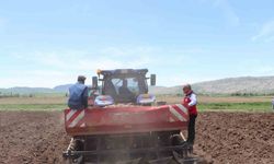 Sivas’ta tohumluk patatesler toprakla buluştu