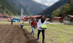 Uzungöl’de Arap turistler, tarlada mısır eken vatandaşlara hurma dağıttı, tarla belledi
