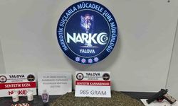 Yalova’da uyuşturucu operasyonunda 2 tutuklama
