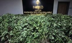Zehir tacirlerine yapılan baskında 34 şüpheli tutuklandı