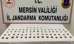 Mersin'de Tarihi Eser Kaçakçılığına Jandarma Operasyonu