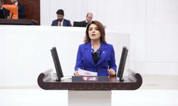 CHP'li Kış'tan Cumhurbaşkanlığı'na Soru Yağmuru