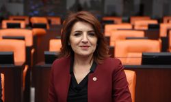 CHP'li Kış'tan Çölyak Hastaları İçin Meclis'e Çağrı