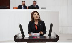 Gülcan Kış: “Bu Düzenin Adı: Saray Ekonomisi”