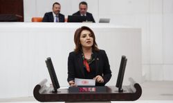 CHP'li  Kış:“Parlamento Saray’ın icazet makamı değildir!”