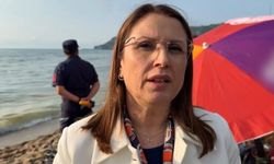 Bartın Valisi Arslan: "İlk tespitlerimize göre denize yakıt bırakılması söz konusu, kimin sebep olduğunu belirlemek için çalışmalar sürüyor"