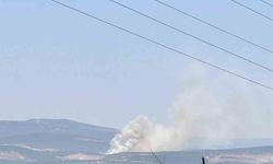 Bursa’da Kayapa bölgesinde orman yangını