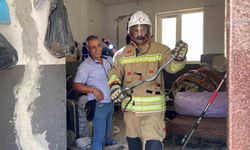 Doğaya bırakıldığı esnada yönünü şaşıran yılan gülümsetti