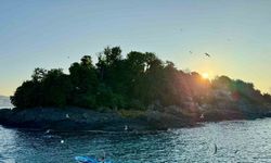 Giresun Adası’nda turizm sezonu başladı