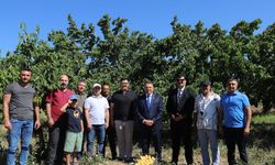 Iğdır Üniversitesi uygulama bahçesinde "Kayısı Hasadı Etkinliği" düzenlendi