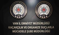 Van’da gümrük kaçakçılığı operasyonu