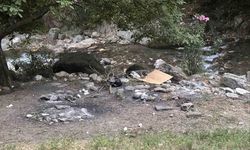 Yasağı delip ormanda mangal yaktılar, jandarmadan kaçamadılar