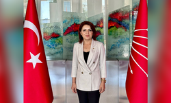 CHP'li Kış'tan Ağır Ekonomi Eleştirisi