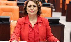 Milletvekili Şevkin, Adana’nın 15 İlçesini TBMM’ye Taşıdı