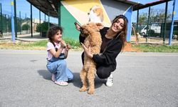 Patiköy Can Dostlara Umut Oluyor