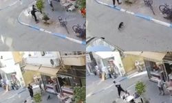 Mersin'de Kediyi Tekmeleyen Saldırgan Cezaevine Girdi