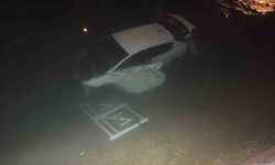 Adana’da otomobil sulama kanalına düştü: 3 yaralı