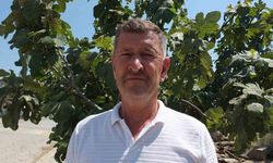 Balıkesirli çiftçi oturduğu caddeyi meyve ağaçlarıyla yeşillendirdi