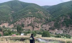 Bingöl’de çıkan örtü yangını söndürüldü