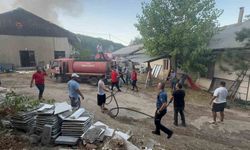Eğirdir’de trafodaki tellere temas eden sincap, 1 depo ile 2 dönümlük araziyi küle çevirdi