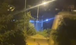 Gümüşhane’de ayı şehir merkezinde görüntülendi