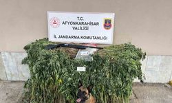 Jandarmadan uyuşturucu operasyonu: 2 gözaltı