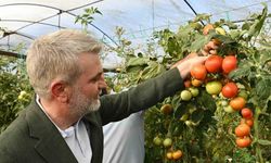 Kahramanmaraş’ta topraktan sofraya bereket zincirine destek