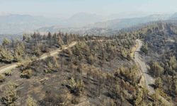 Kahramanmaraş’ta yangın sonrası küle dönen ormanlık alan dronla görüntülendi
