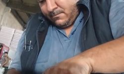 Kedinin imdat çığlığına şef yetişti