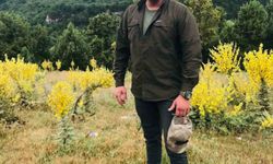 Kütahya’da motosiklet şarampole devrildi, sürücü hayatını kaybetti