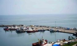 Samsun’da 2025 yılında 65 bin 658 ton balık üretimi planlanıyor