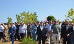 Sinop’ta Şehit Ömer Can Açıkgöz’ün adı hatıra ormanında yaşatılıyor