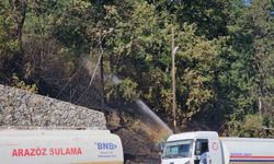 Zonguldak’ta çıkan örtü yangını kontrol altına alındı
