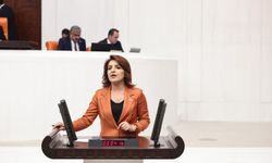 CHP'li Kış: "Laik Eğitim Sistemi Çökertiliyor"