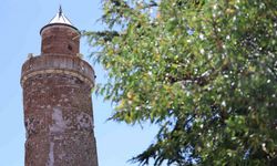 4 bin yıllık Harput’a gelenler, Pisa’dan daha eğri minareyi görünce şaşırıyor
