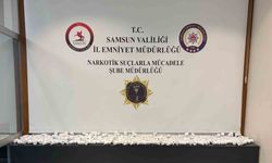 Ahırdaki arı kovanlarının arkasına gizlenen çuvallardan 54 bine yakın uyuşturucu hap çıktı