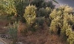 Alanya’da drift yapan sürücülere 166 bin TL ceza