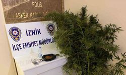 Bahçesinde hint keneviri yetiştiren kişiler tutuklandı