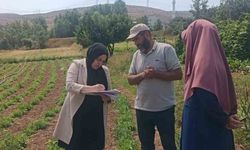 ‘Bayburt Tarhunu’ coğrafi işaret tescilinin ardından ilk kez denetlendi