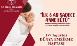 Dünya Emzirme Haftası’nda anne sütünün önemi vurgulandı