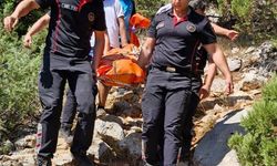 Ekşi toplamak için gittiği arazide hayatını kaybetti