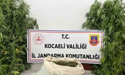 Evini uyuşturucu serasına çevirdi