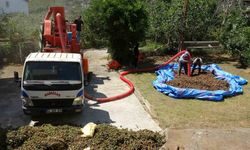Fındıkta patoz mesaisi başladı: Saatlik ücreti 4 bin 500 TL
